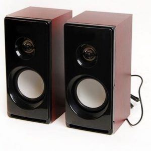 Enceintes Haut Parleur Mega Bass Q530 en Bois